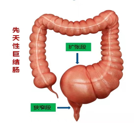 微信圖片_20240620142332.jpg