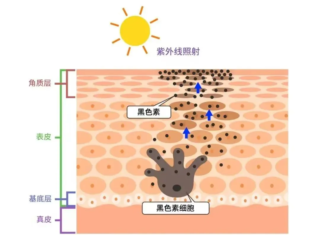 微信圖片_20240527143321.jpg